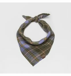 Cloud 7 Bandana Check Green