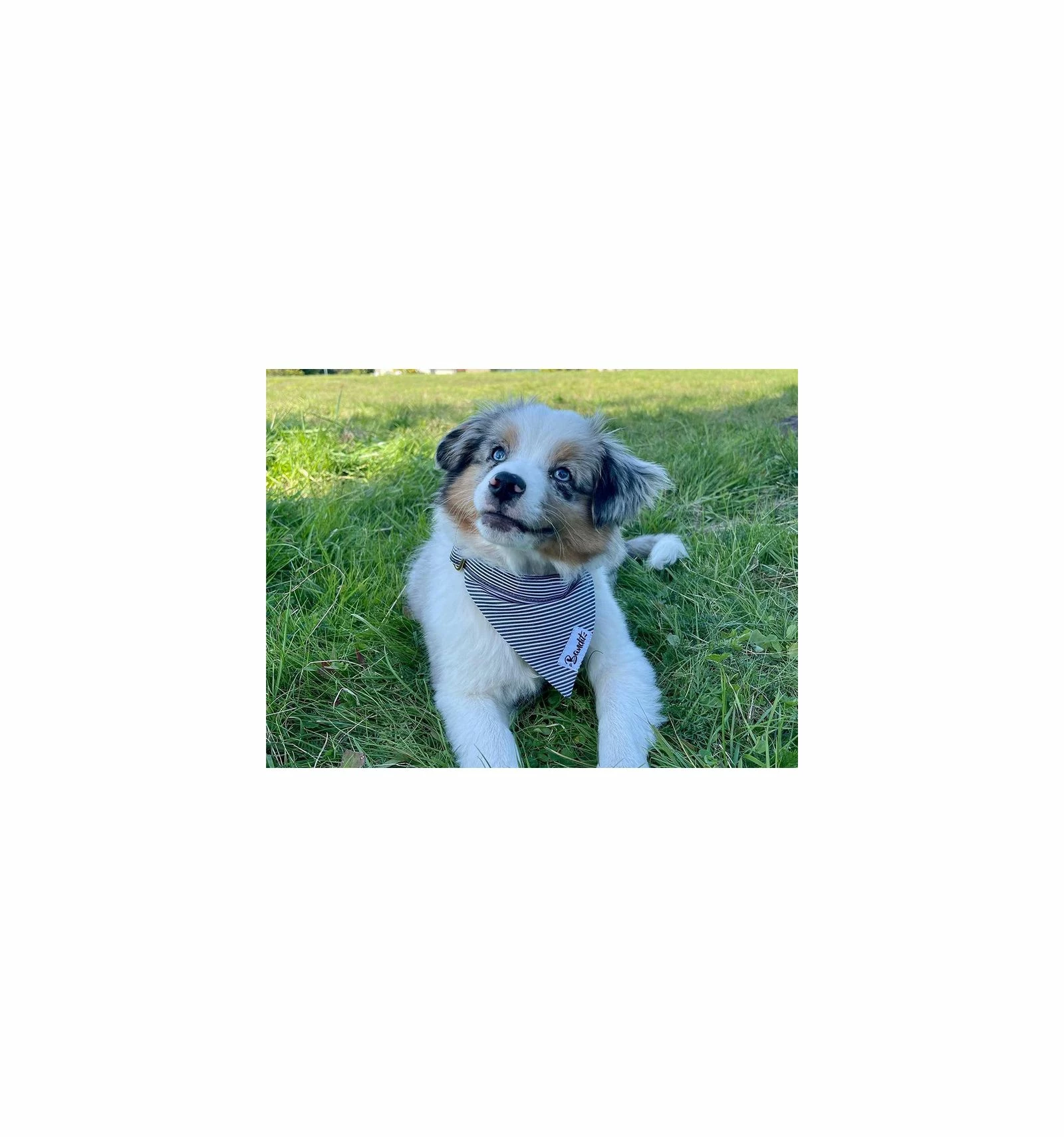 French Bandit Bandana IN THE NAVY â Image 2