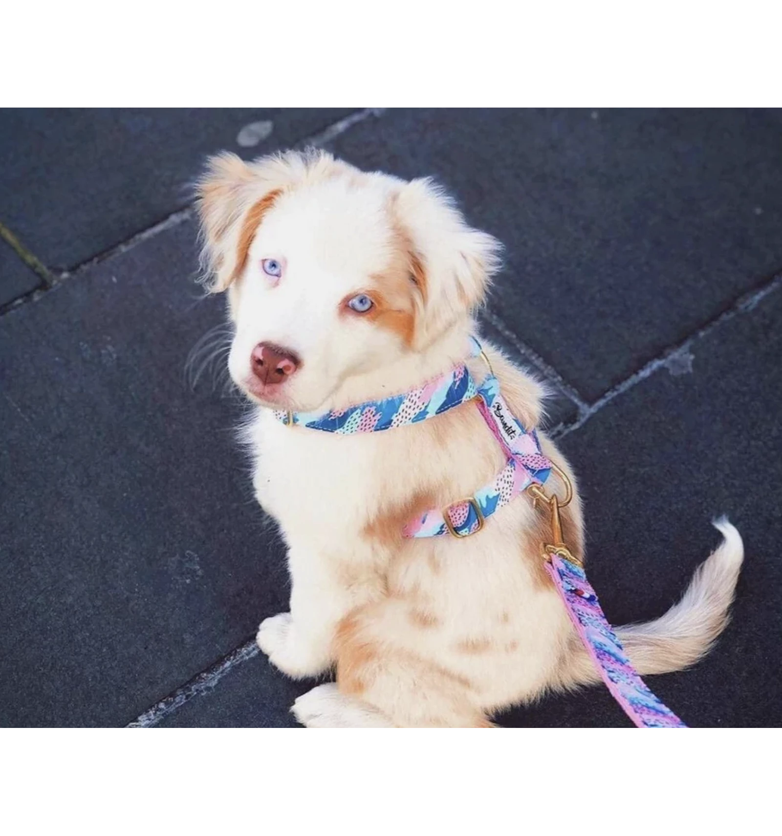 French Bandit Collier HIPPIE COOL – Image 2