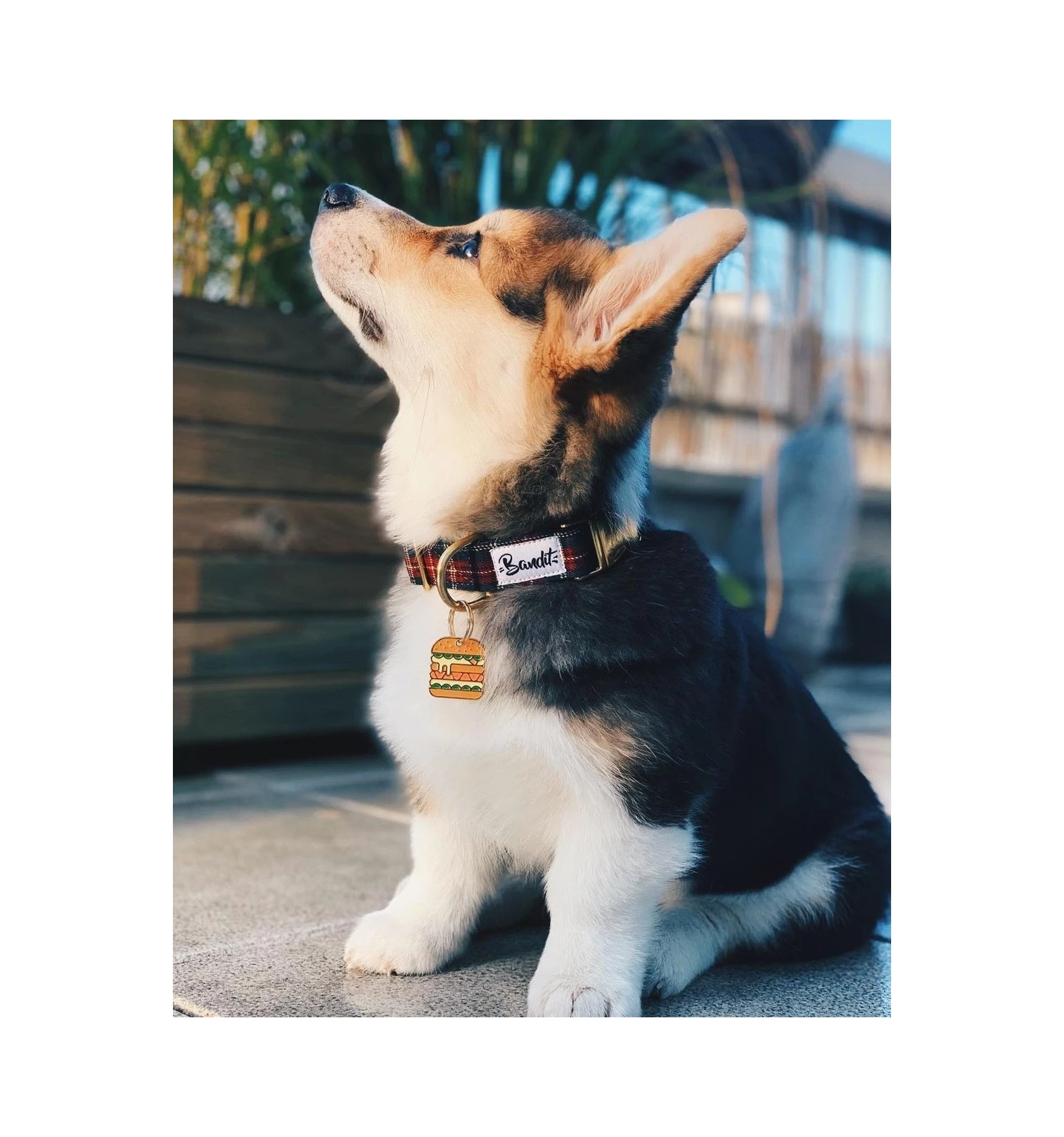 French Bandit Collier OH MY LORD – Image 2