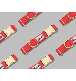 French Bandit Collier SO RED CHIC