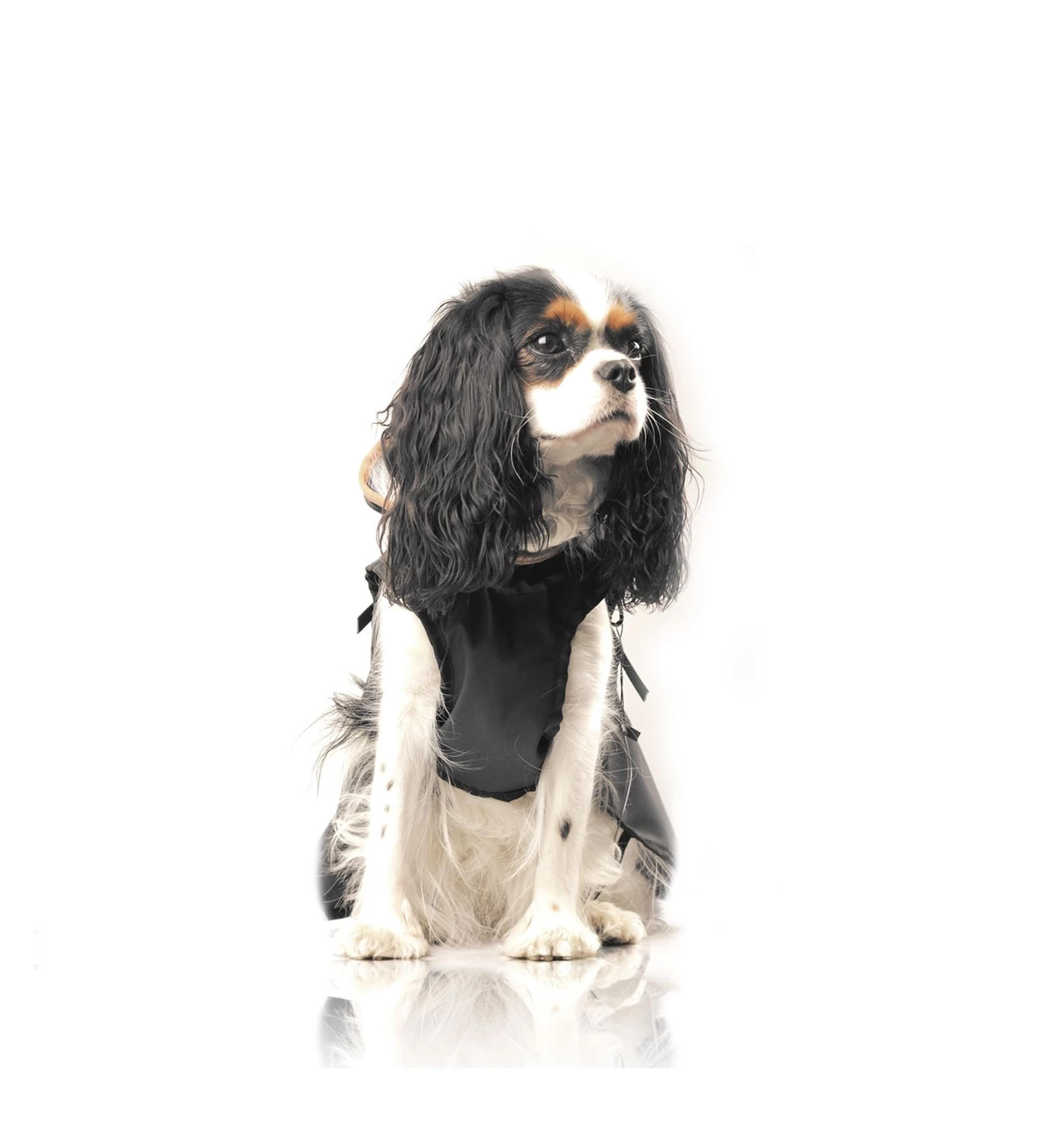 Milk&Pepper Hamilton (Cape) – Image 3