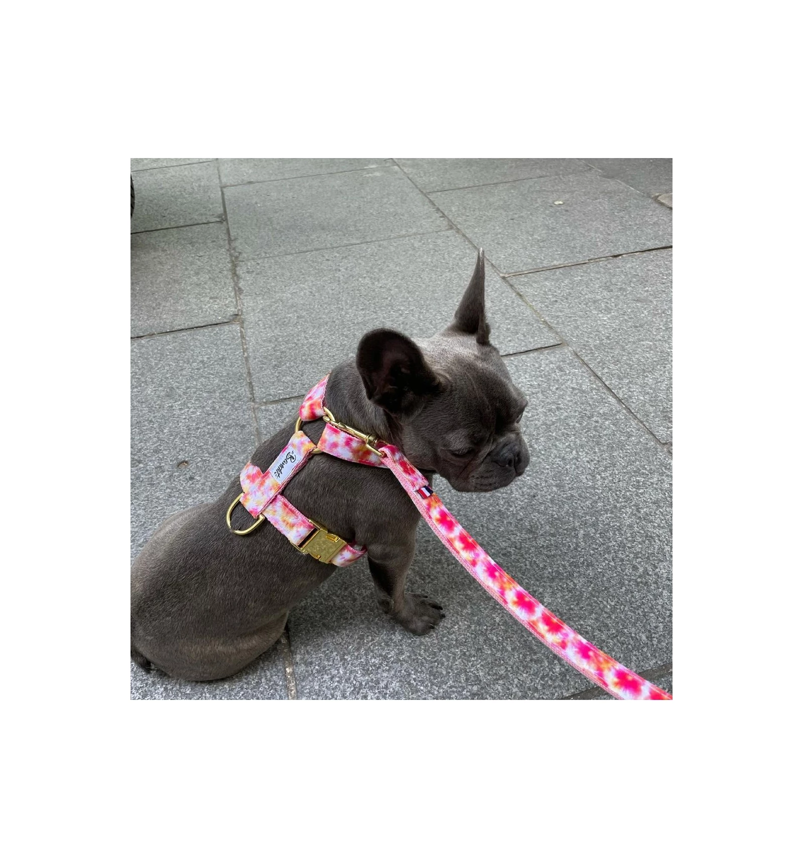 French Bandit Harnais BANDIKINI – Image 2