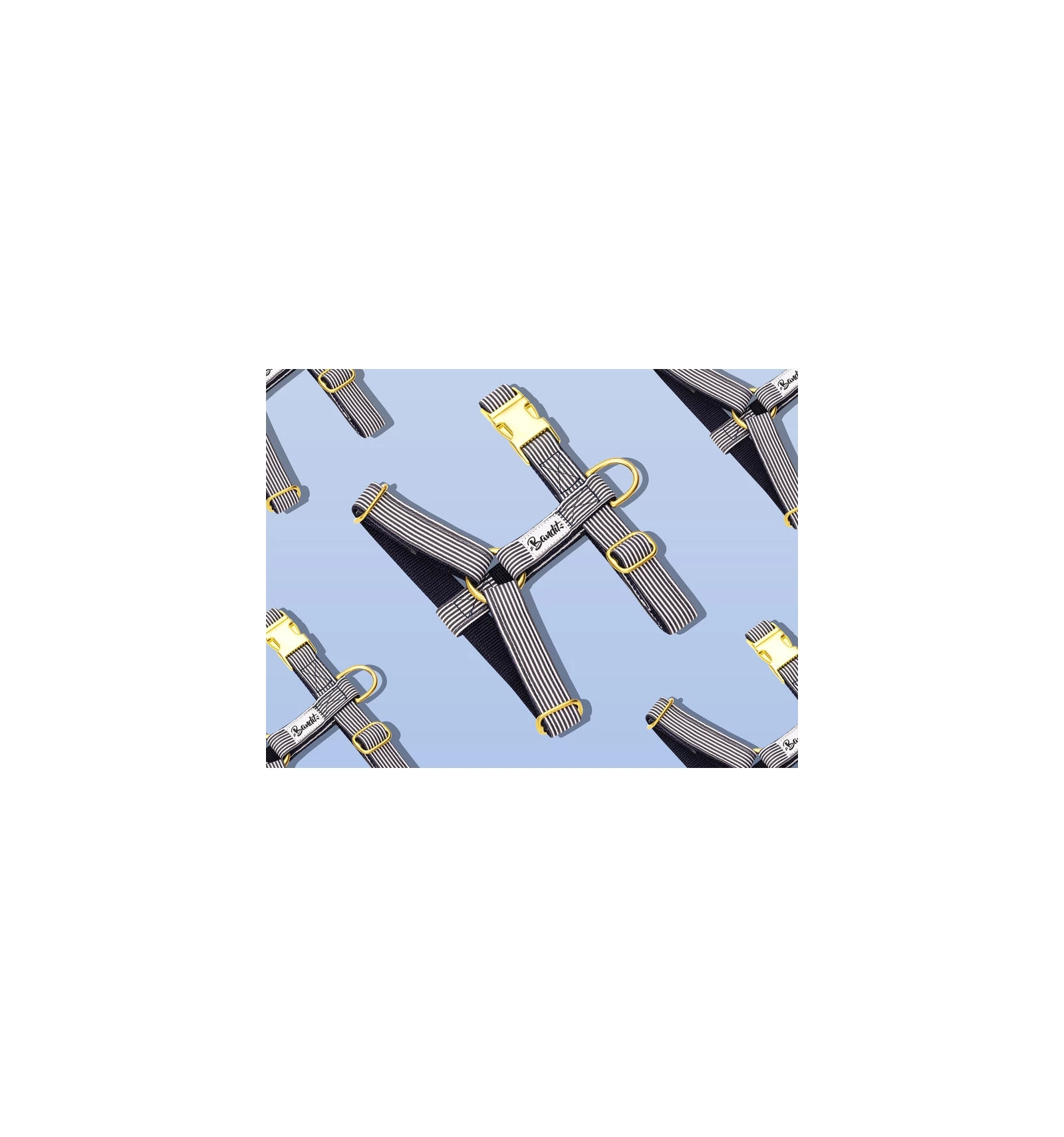 French Bandit Harnais IN THE NAVY