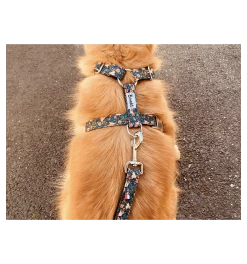 French Bandit Laisse FLOWER PAWER