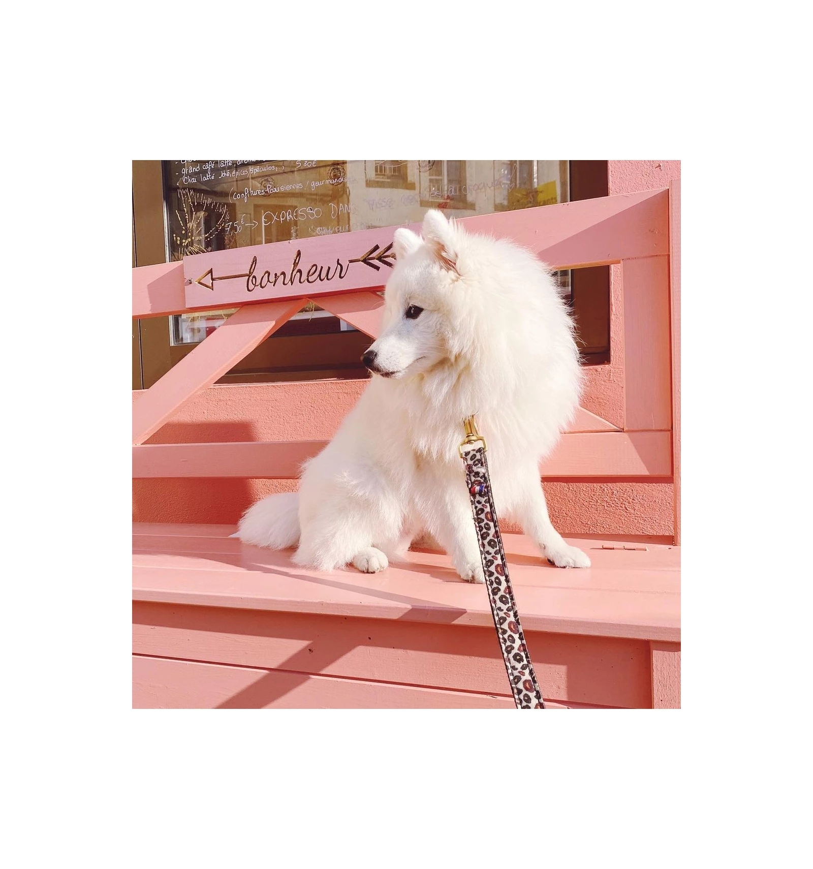 French Bandit Laisse WILD WILD WOUF – Image 2