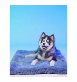 Le Tapis Rouge Le Tapis Dubai