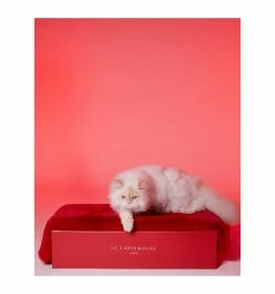 Le Tapis Rouge Le Tapis Paris