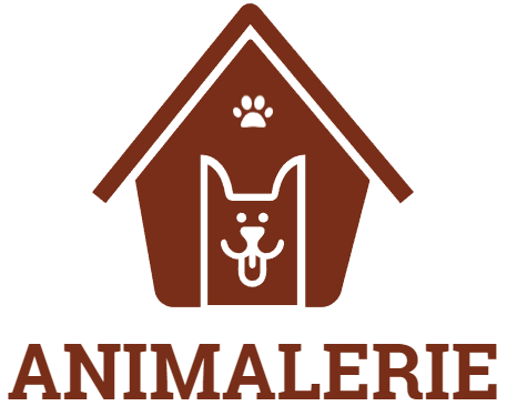 magasin d'aliments pour chiens