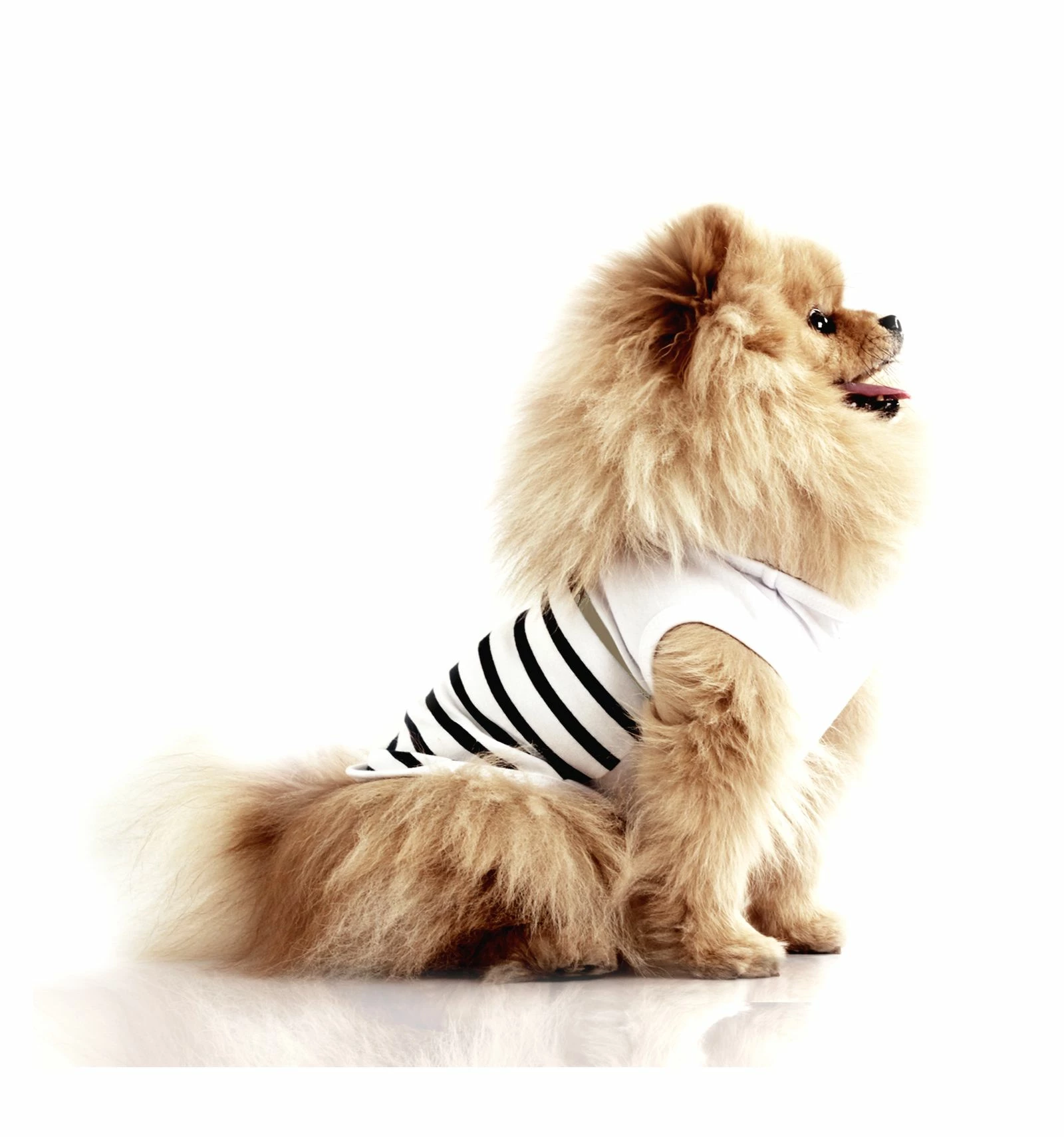 Milk&Pepper T-shirt Saint Brieuc "Capitaine" – Image 2