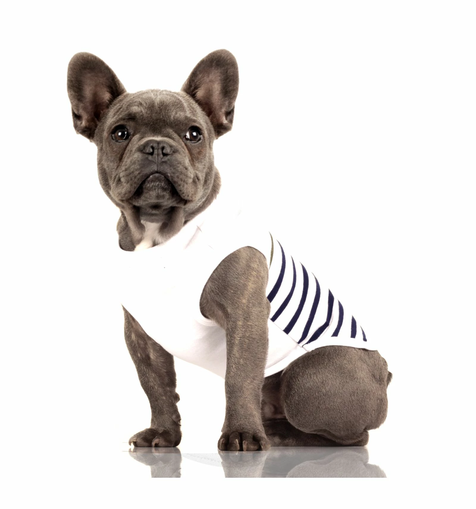 Milk&Pepper T-shirt Saint Brieuc "Capitaine"