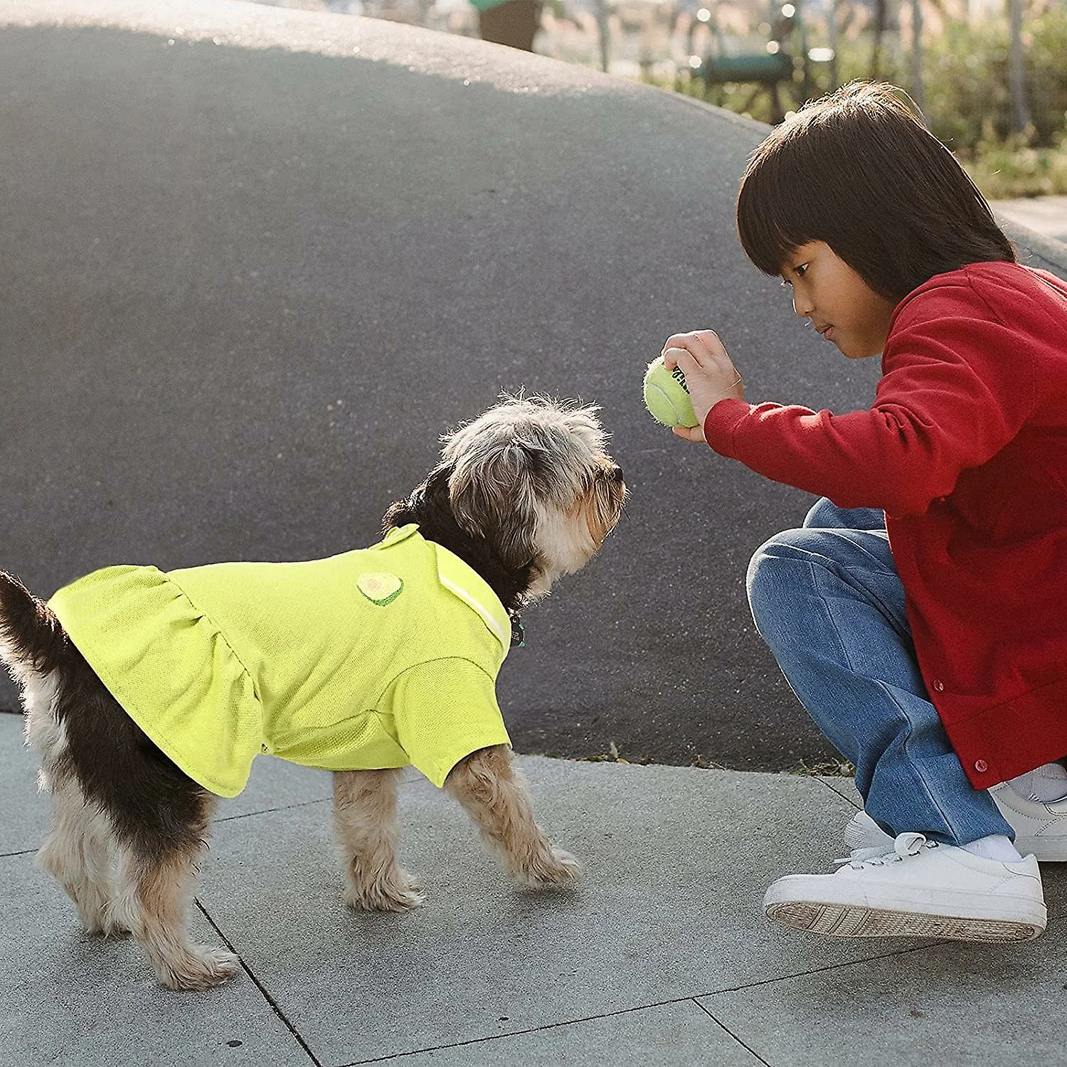 Yskaze 2 PiĂšces Robe De Chien Respirant Pet Dress Mesh Puppy Dress Cute Dog Skirt Elegant Pet Summer Apparel DogGie Clothes For Small Dogs Cats Pets (avocat, D â Image 5