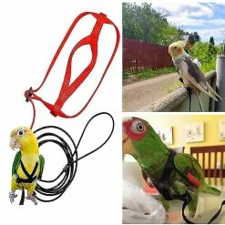 Unbranded Pet Parrot Bird Harness Leash Réglable Bird Flying Harness Traction Rope Avec Cute Wing F