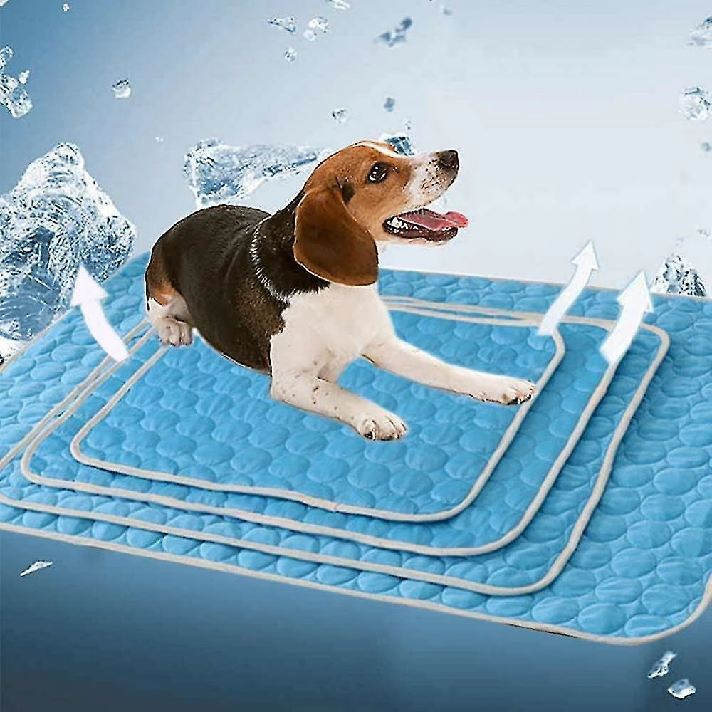 Unbranded 2pcs Blue Summer Cooling Mat Chiens Chats Ou Pet Ice Pad Mat Couverture (62 * 50cm) â Image 2