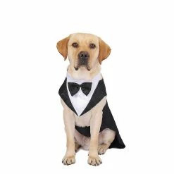 Unbranded Pet Dog Wedding Suit Tuxedo, Dog Tuxedo And Bandana Suit, Dog Tuxedo Wedding Party Suit