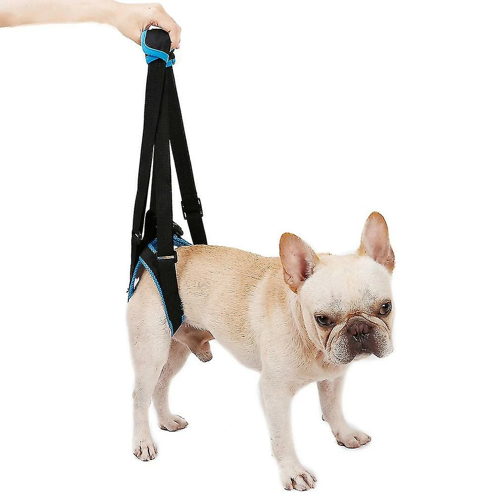 Rtopr Pet Dog Auxiliary Belt Harness Assist Lift Support Rehabilitation Belt Pour Chien Malade âgé – Image 4
