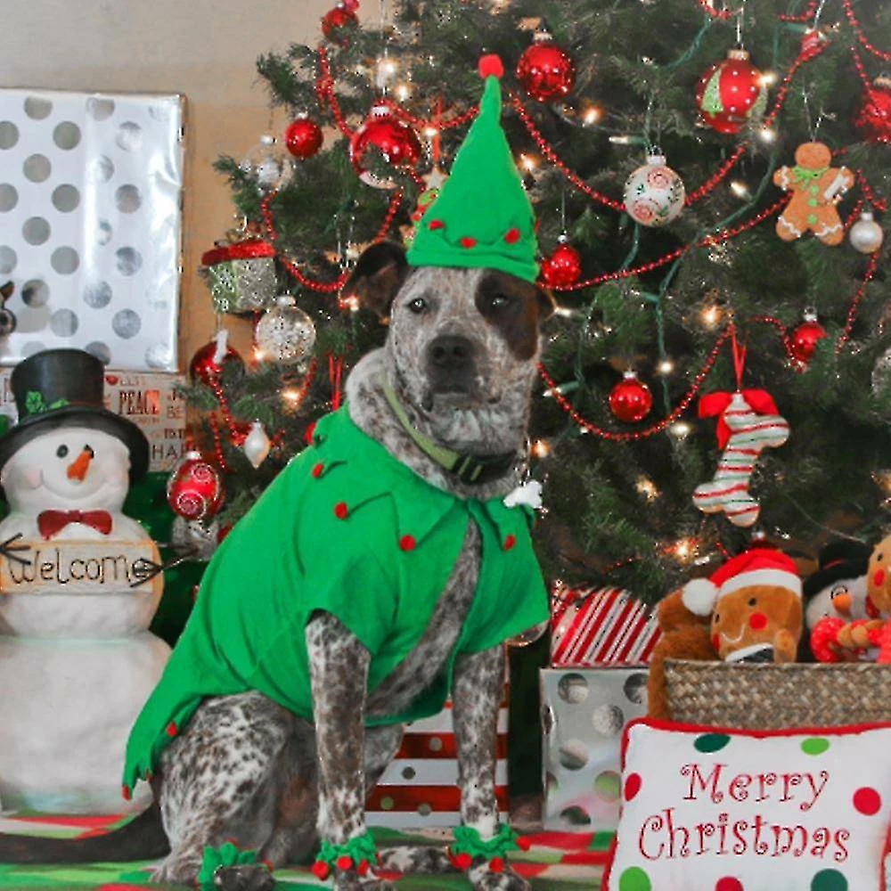 Unbranded Chat Noël Chat Chien Costumes Set Pet Cape Avec Étoile Et Pompes Noël Noël Chat Chapeau Pet Santa Manteau Costume – Image 5