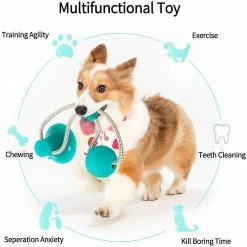 Unbranded Multifonction Pet Molar Dog Toys Cat Toy Safe Elasticity Nettoyage Des Dents Boule TPR Soft Puppy Ventouse Jouets De Morsure Pour Chien