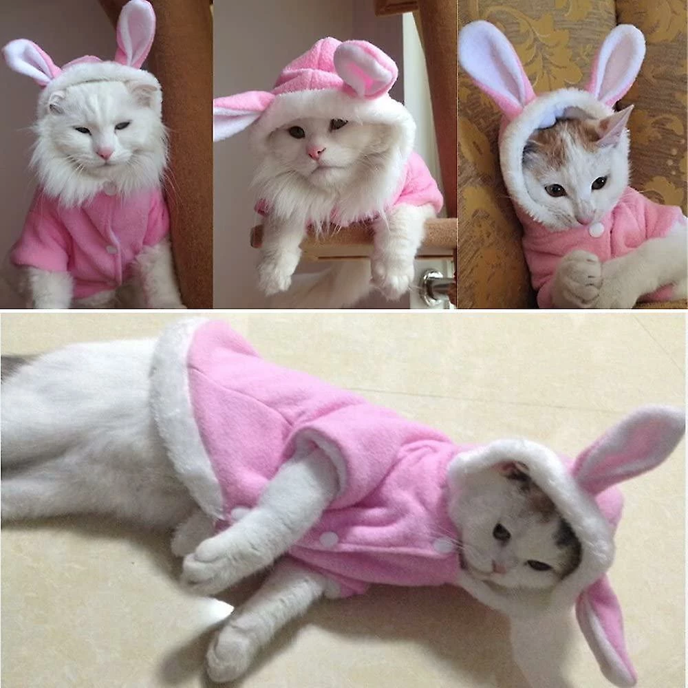 Giveuphesit Pet Hoodie Cat Rabbit Outfit With Bunny Ears Mignon Sweatshirt Printemps Et Automne Puppy Pull TricotĂ© â Image 5
