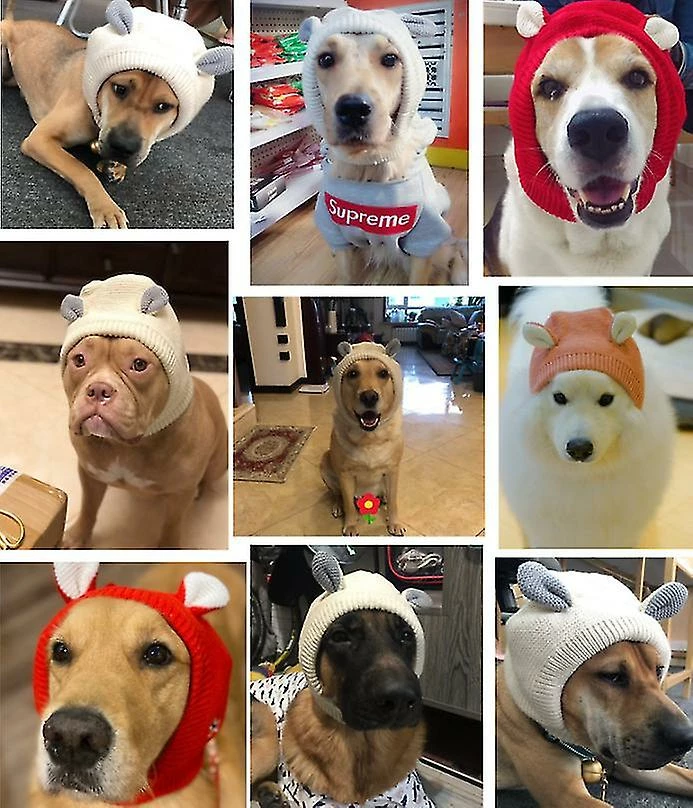 Schan Pet Headgear Automne Et Hiver Grand Chien Golden Retriever Chapeau Chaud Et Coupe-vent