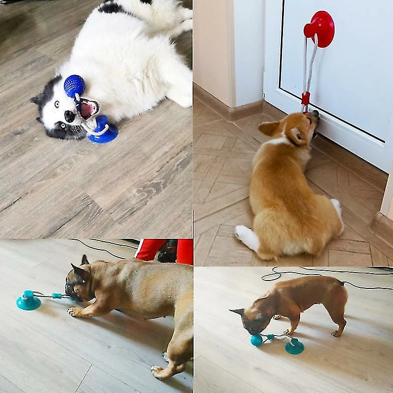 Unbranded Jouets Pour Chiens Pet Puppy Ventouse Interactive Push Tpr Ball Toys Bleu – Image 3