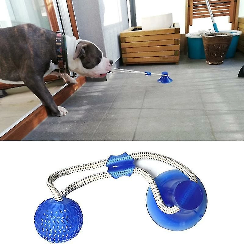 Unbranded Jouets Pour Chiens Pet Puppy Ventouse Interactive Push Tpr Ball Toys Bleu – Image 5