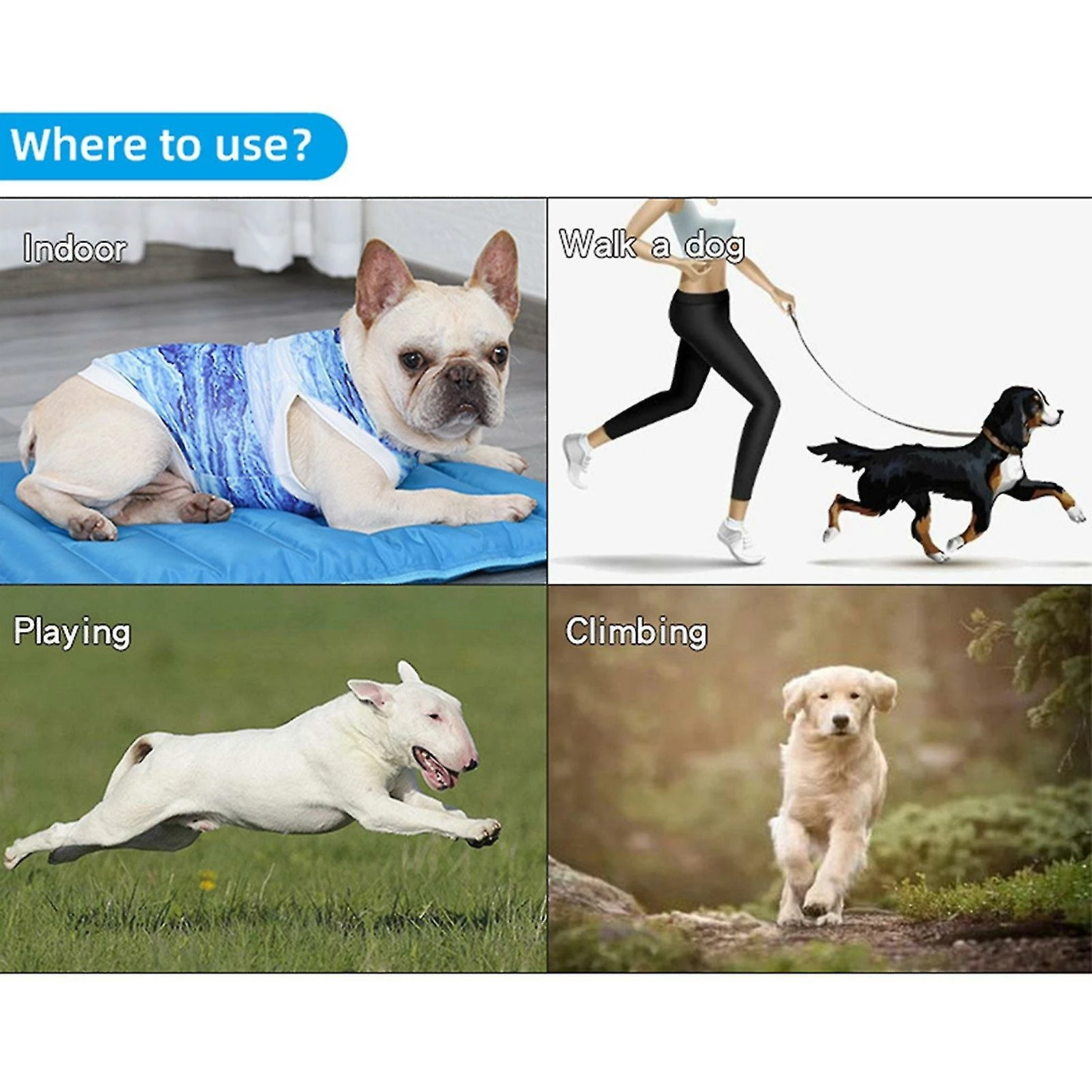 Unbrand Doglemi Pet Summer Cooling Shirt Gilet Respirant Puppy Sweatshirt Dog Clothes - Xxl – Image 3