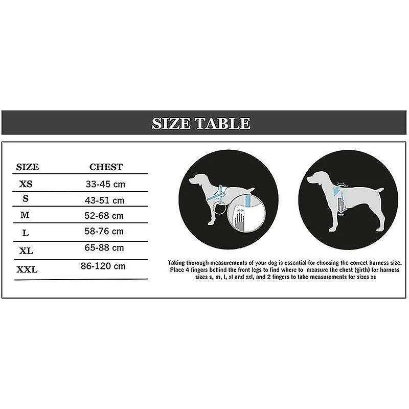 Hua Hui Moda Dog H047 Taille L, No Pull Medium/large Dog Harness Easy Walk Anti-rush Easy Control Safety Pet Vest - Peace Guard - Sky â Image 2