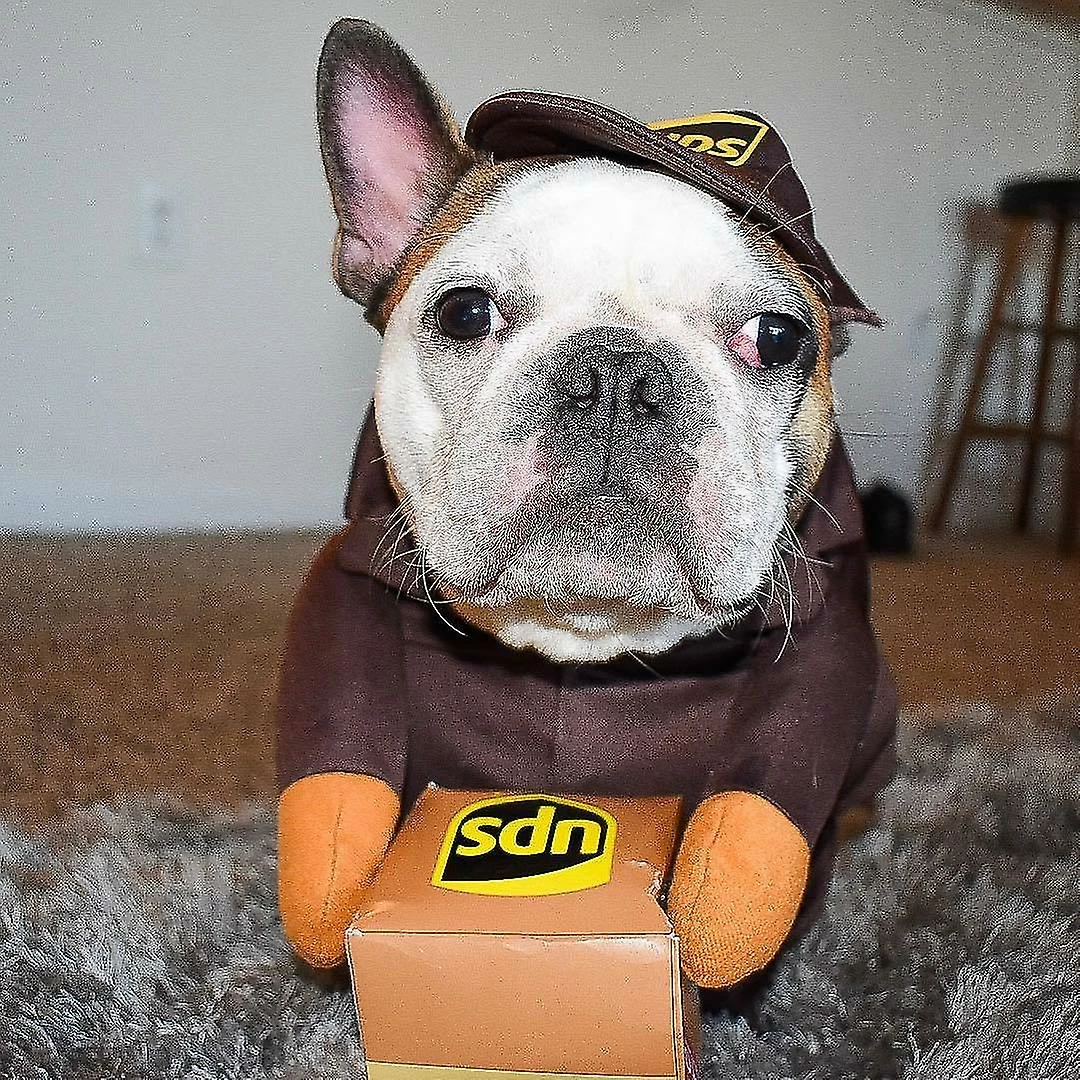 Unbranded Pet Ups Pal Costume De Chien, Drôle De Vêtements Express Chien De Compagnie Vêtements De Chat Petits, Moyens Et Grands Fournitures Pour Chiens Automne Et Hiver (1 Paquet, L) – Image 5