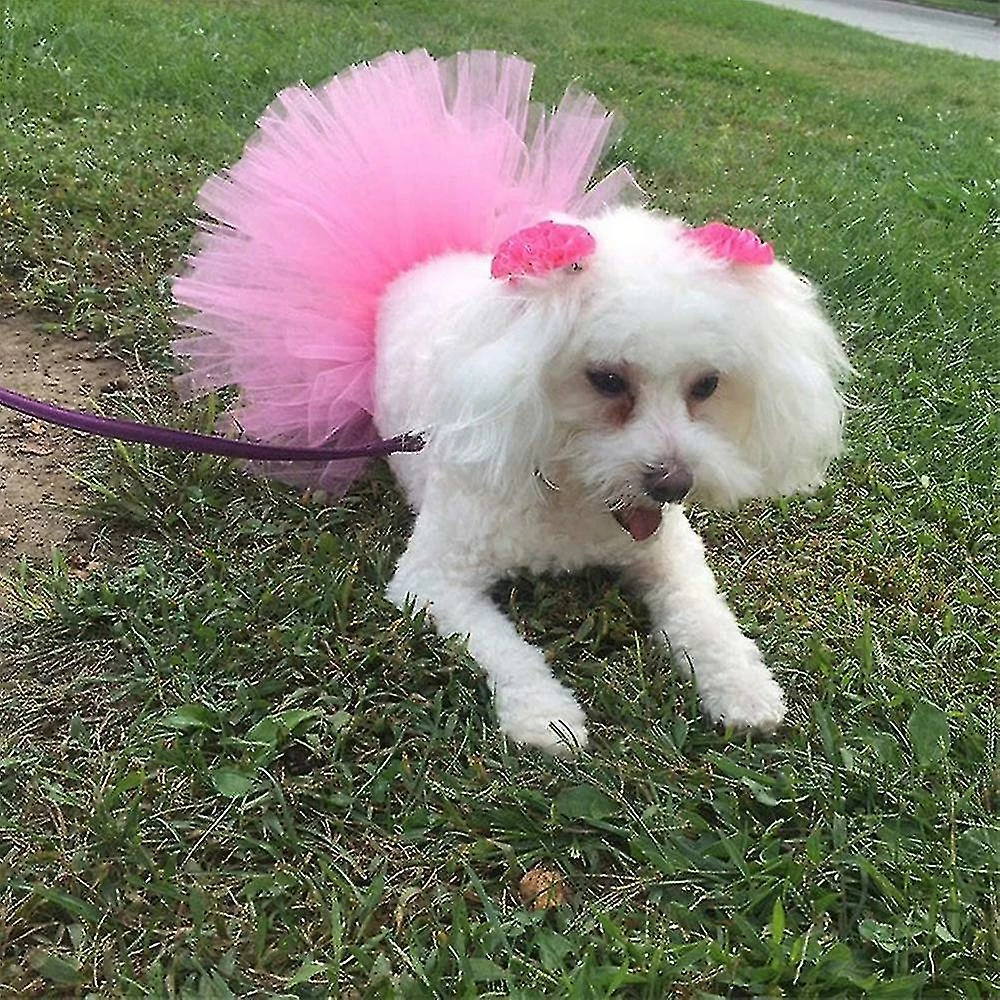 Jccc Rose Pet Dog Cat Costume Tutu Outfit Animal Halloween Party Tulle Jupe â Image 3