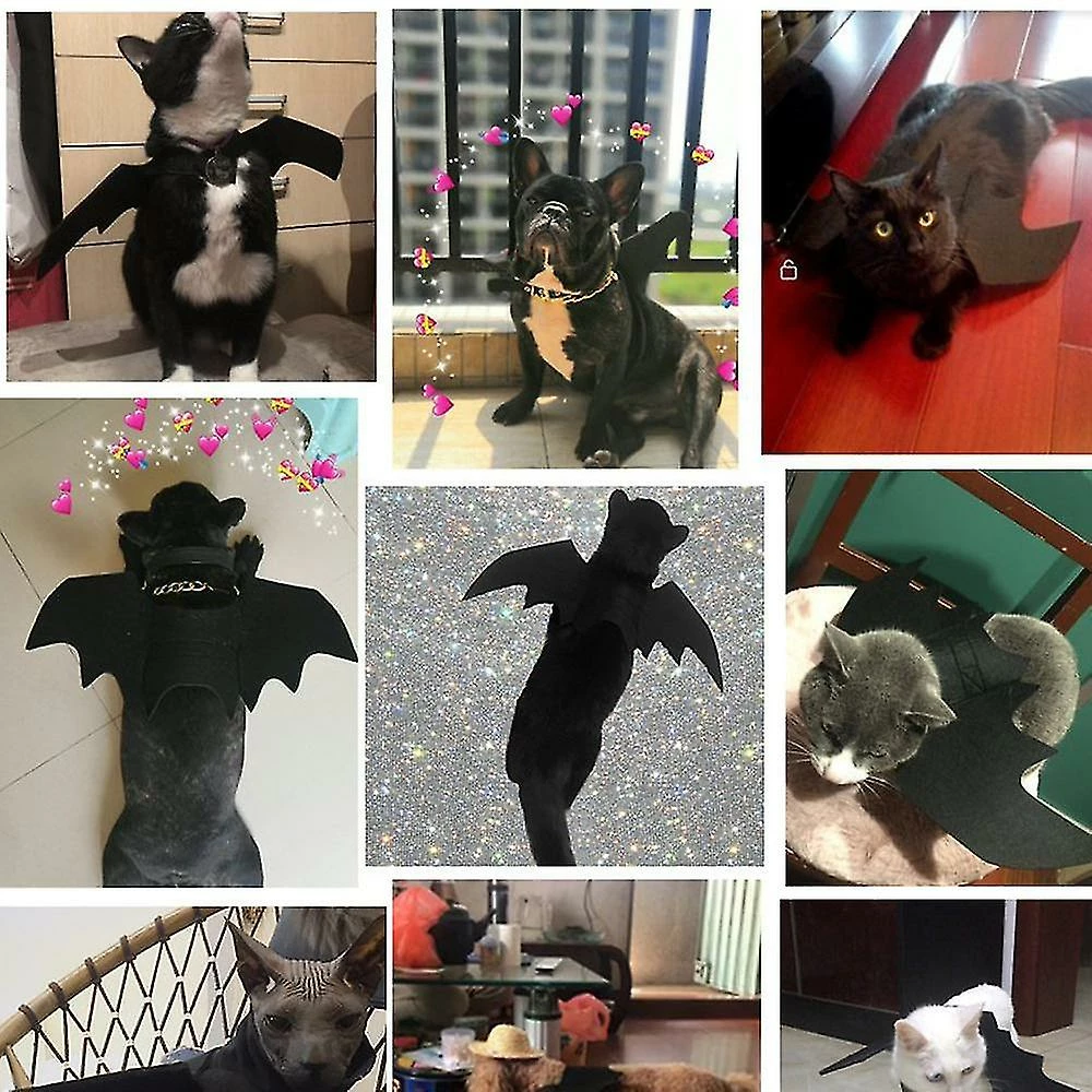 Unbranded Halloween Bat Wings Pet Costume, Robe De Fête Drôle Cool Apparel, Pour Chat Et Petit Chien De Taille Moyenne – Image 5