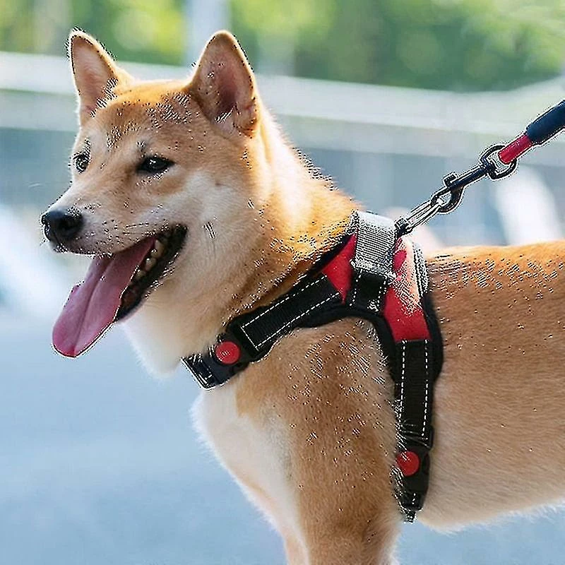 Luluzhu Pet Dog Leash Traction Harnais De Poitrine Drag AntidĂ©flagrant Leopard-l Aespa â Image 4
