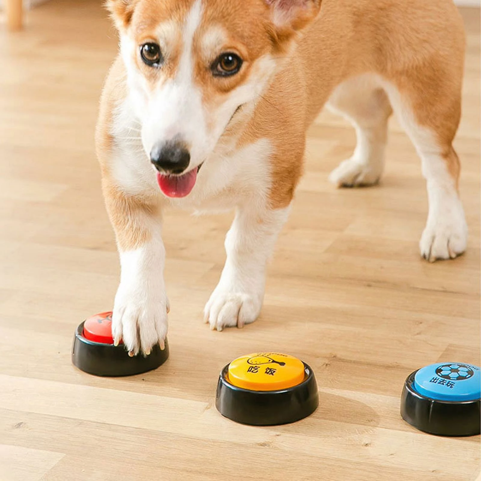 Unbranded Dog Training Potty Bells Pet Call Bell Feeding Going Out Communication Bell – Image 2