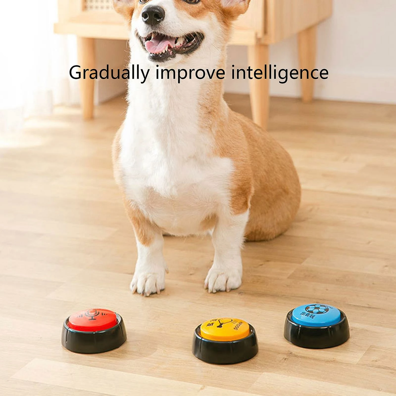 Unbranded Dog Training Potty Bells Pet Call Bell Feeding Going Out Communication Bell – Image 3